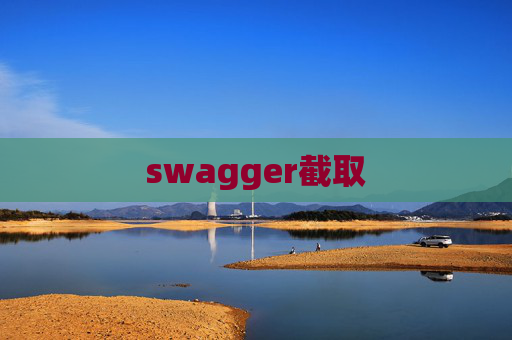 swagger截取